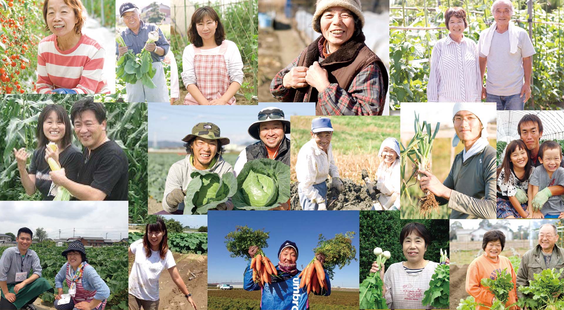 野菜の直売所のような朝採り野菜がご自宅に届く野菜の定期便（サブスク）とは！