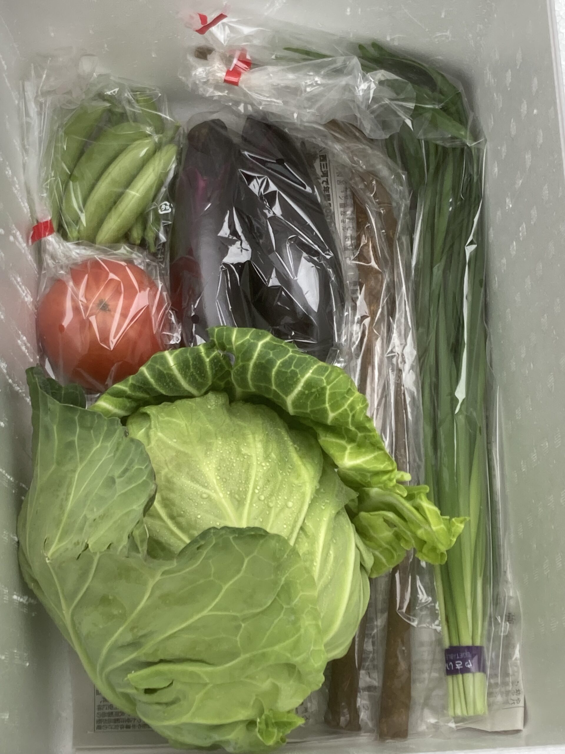 5月26日(月)・27日(火)に宅配予定の栄養満点の新鮮野菜のセットはこちらです！