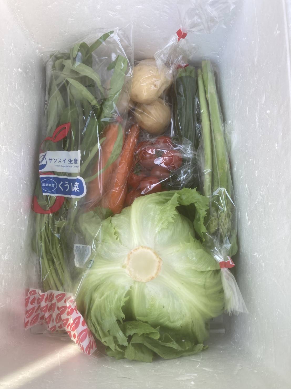 6月30日(月)･7月1日(火)に宅配予定の栄養満点の新鮮野菜のセットはこちらです