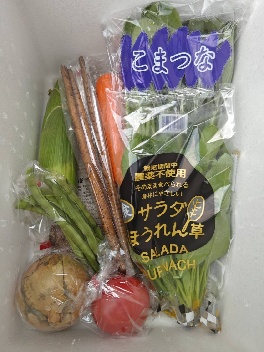 6月19日(木)・20日(金)に宅配予定の栄養満点の新鮮野菜のセットはこちらです！