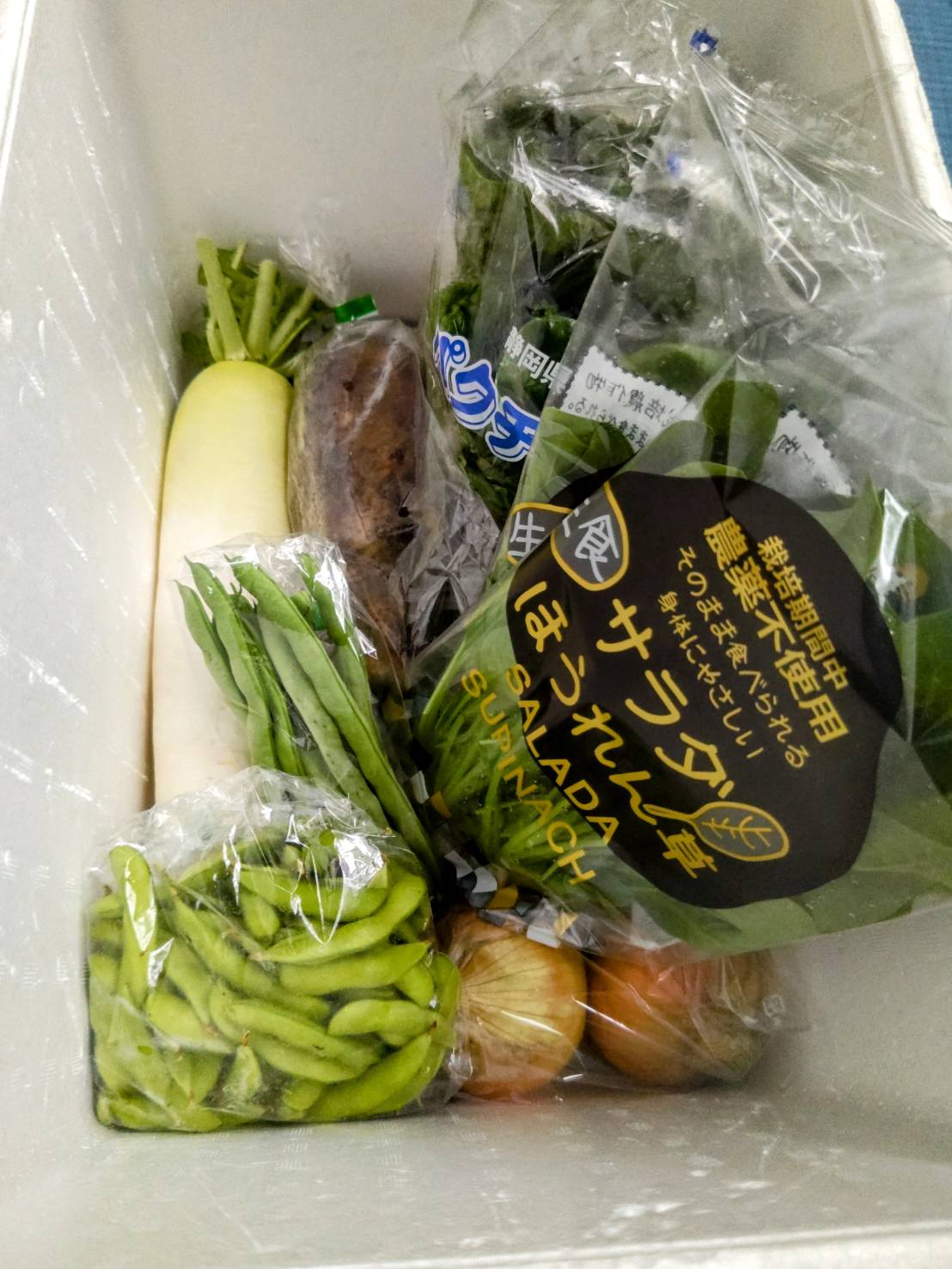 6月23日(月)・24日(火)に宅配予定の栄養満点の新鮮野菜のセットはこちらです！