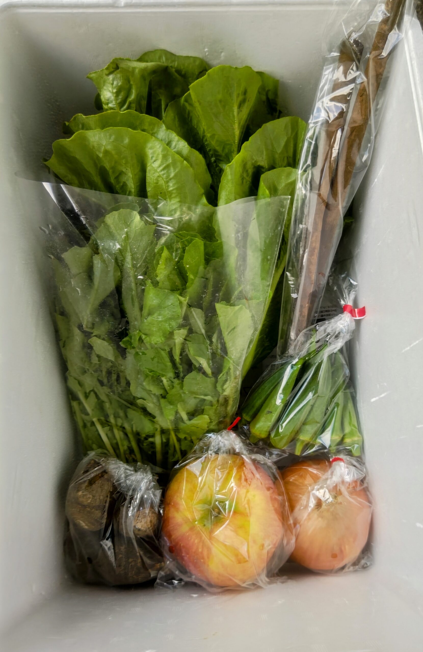 9月29日(月)･30日(火)に宅配予定の野菜のセットはこちらです！