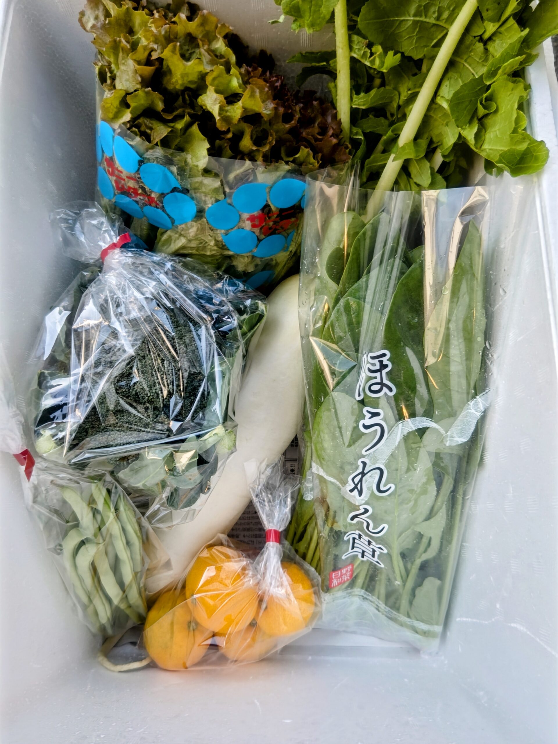 10月30日(木)・31日(金)に宅配予定の野菜のセットはこちらです！