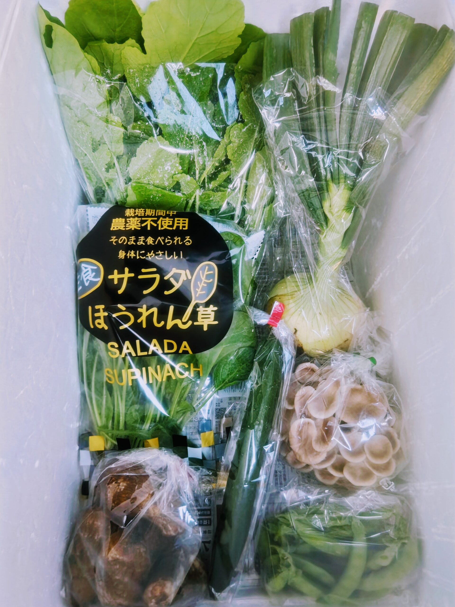 次回の宅配予定の野菜セット – 名古屋の野菜の定期便・サブスク