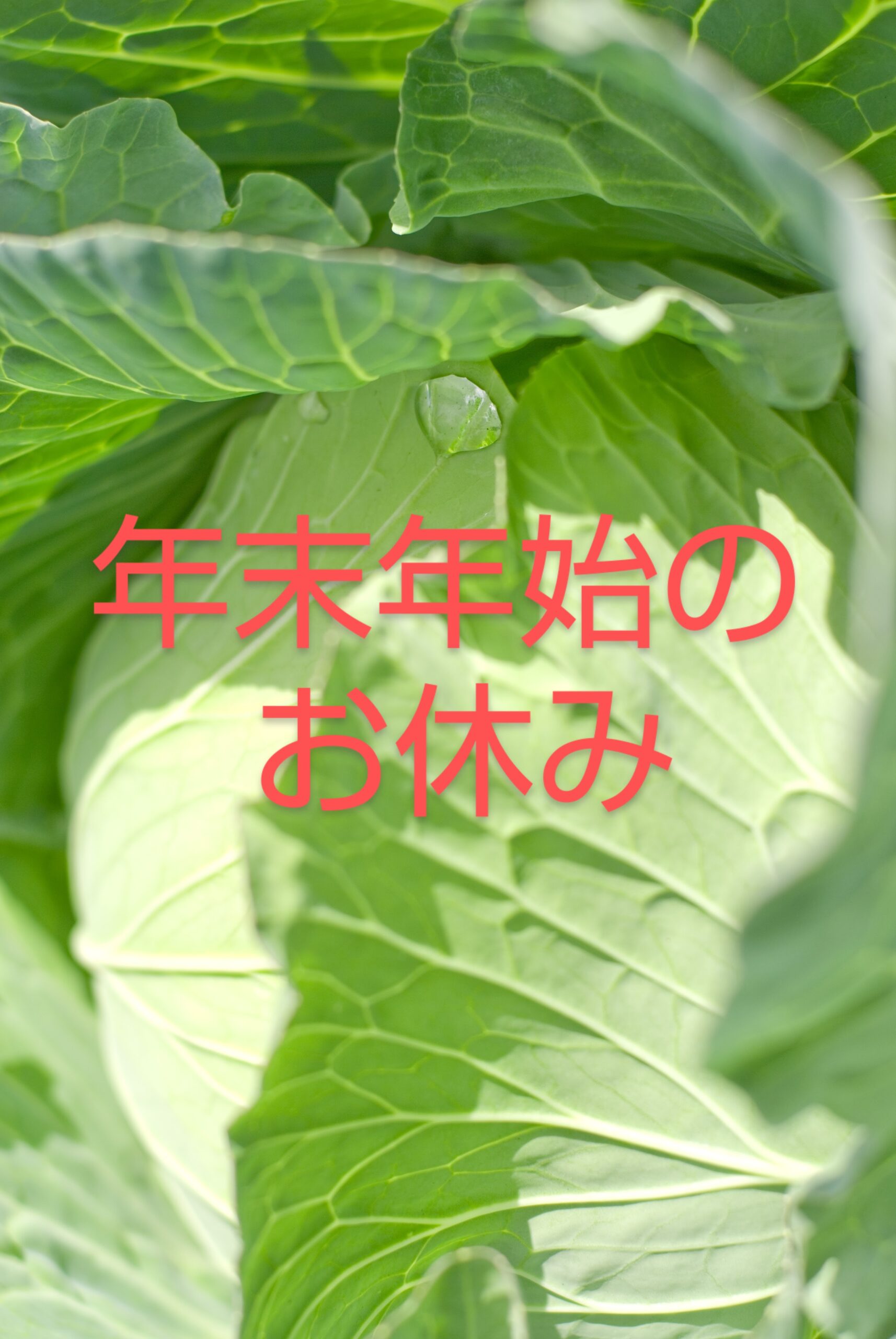 年末年始のお休みについて