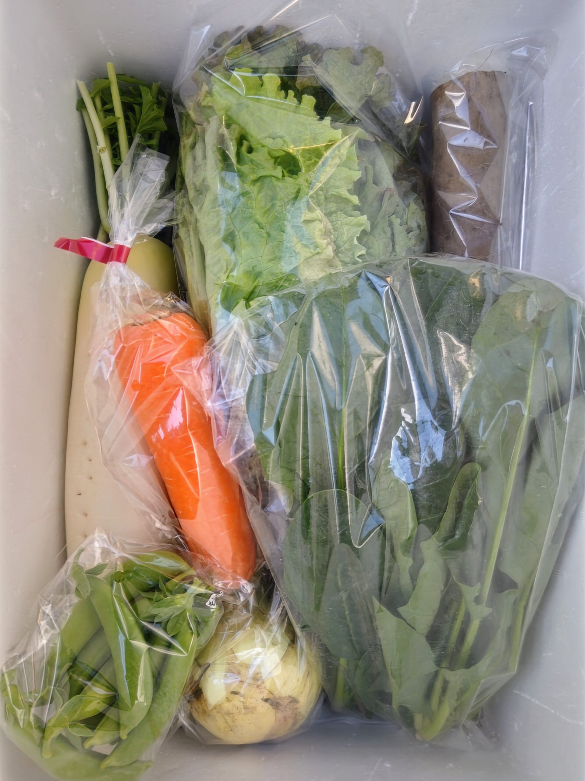 1月8日(木)に宅配予定の野菜のセットはこちらです！