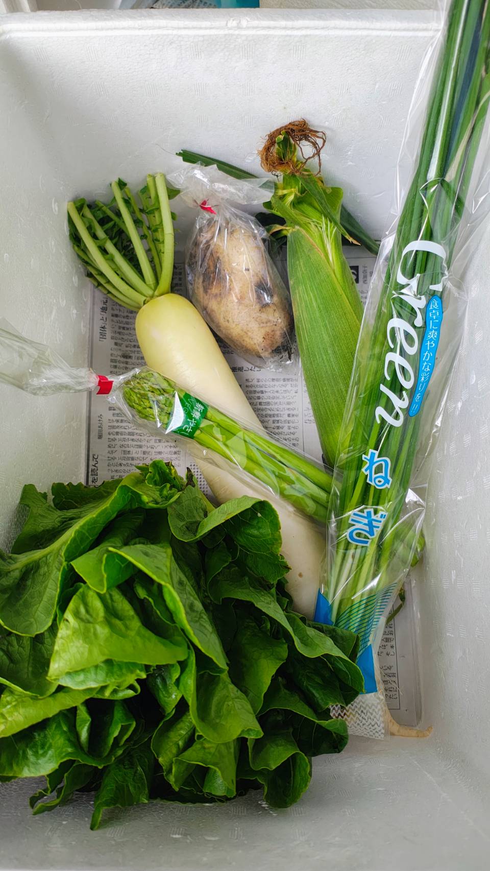 6月15日(月)に宅配予定の野菜のセットはこちらです！