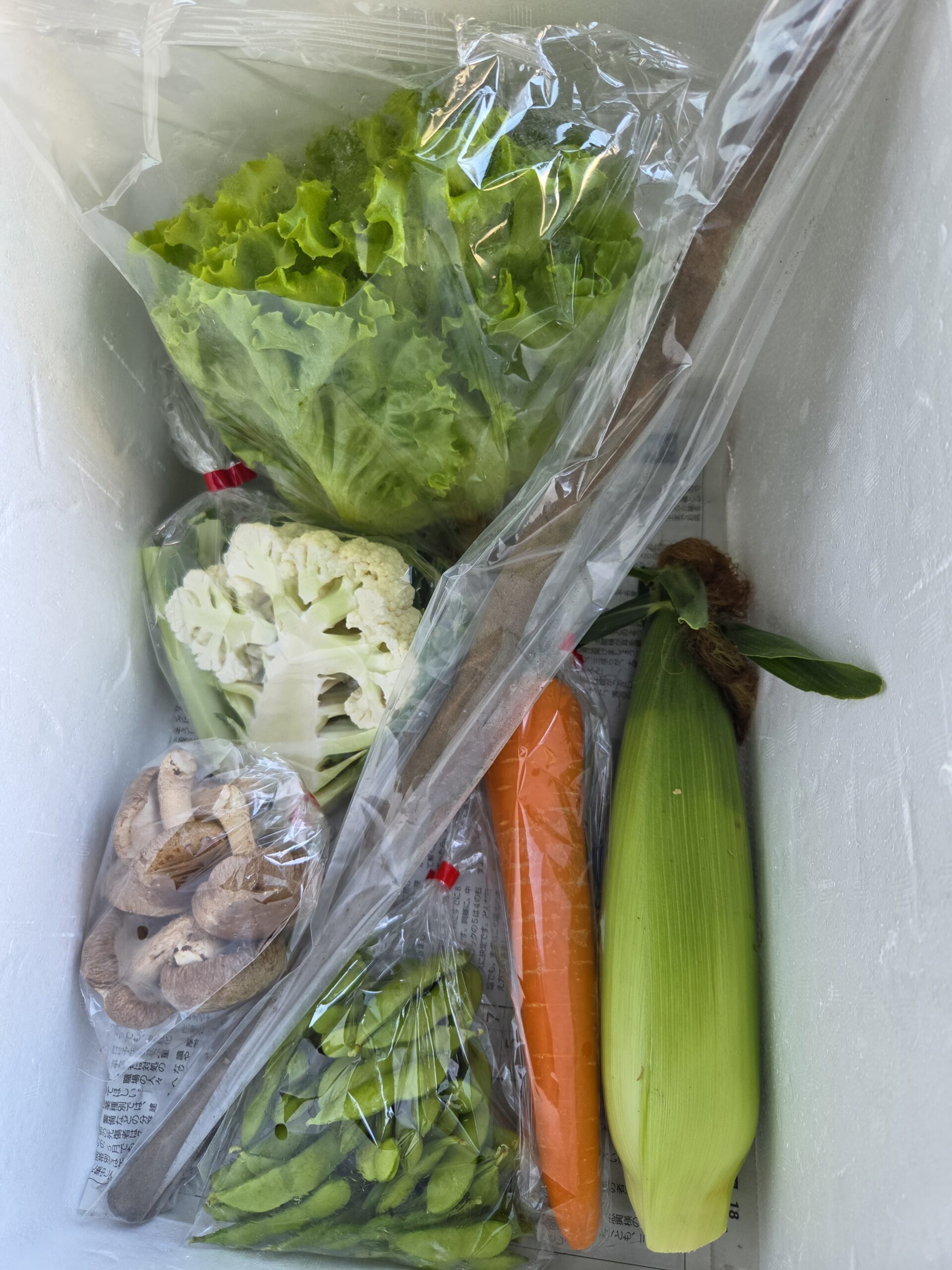 7月9日(木)に宅配予定の野菜のセットはこちらです！