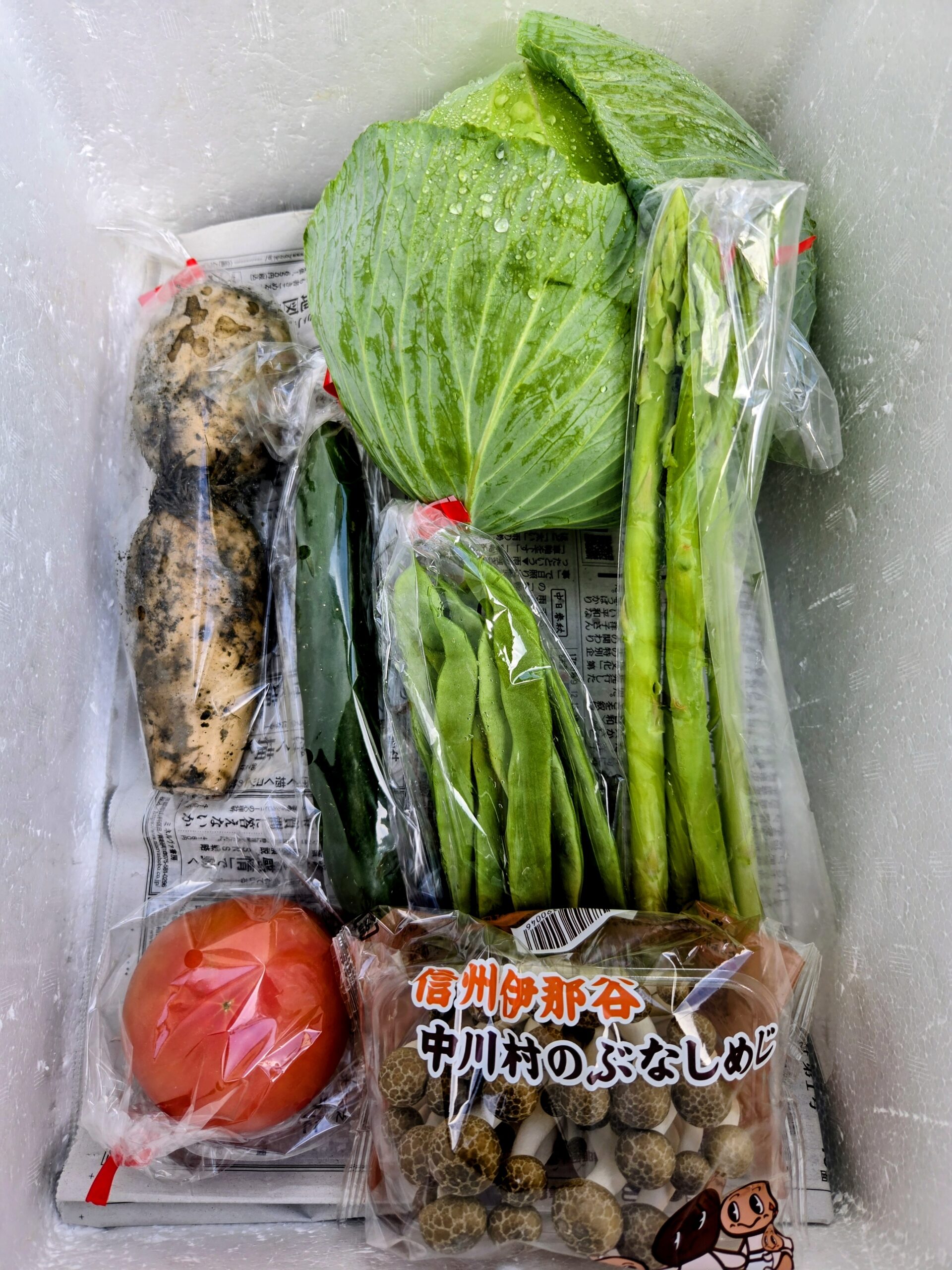 8月20日(木)に宅配予定の野菜のセットはこちらです！