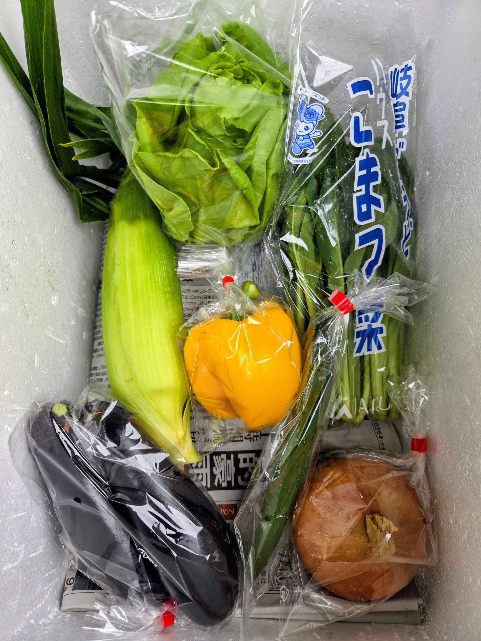 9月10日(木)に宅配予定の野菜のセットはこちらです！