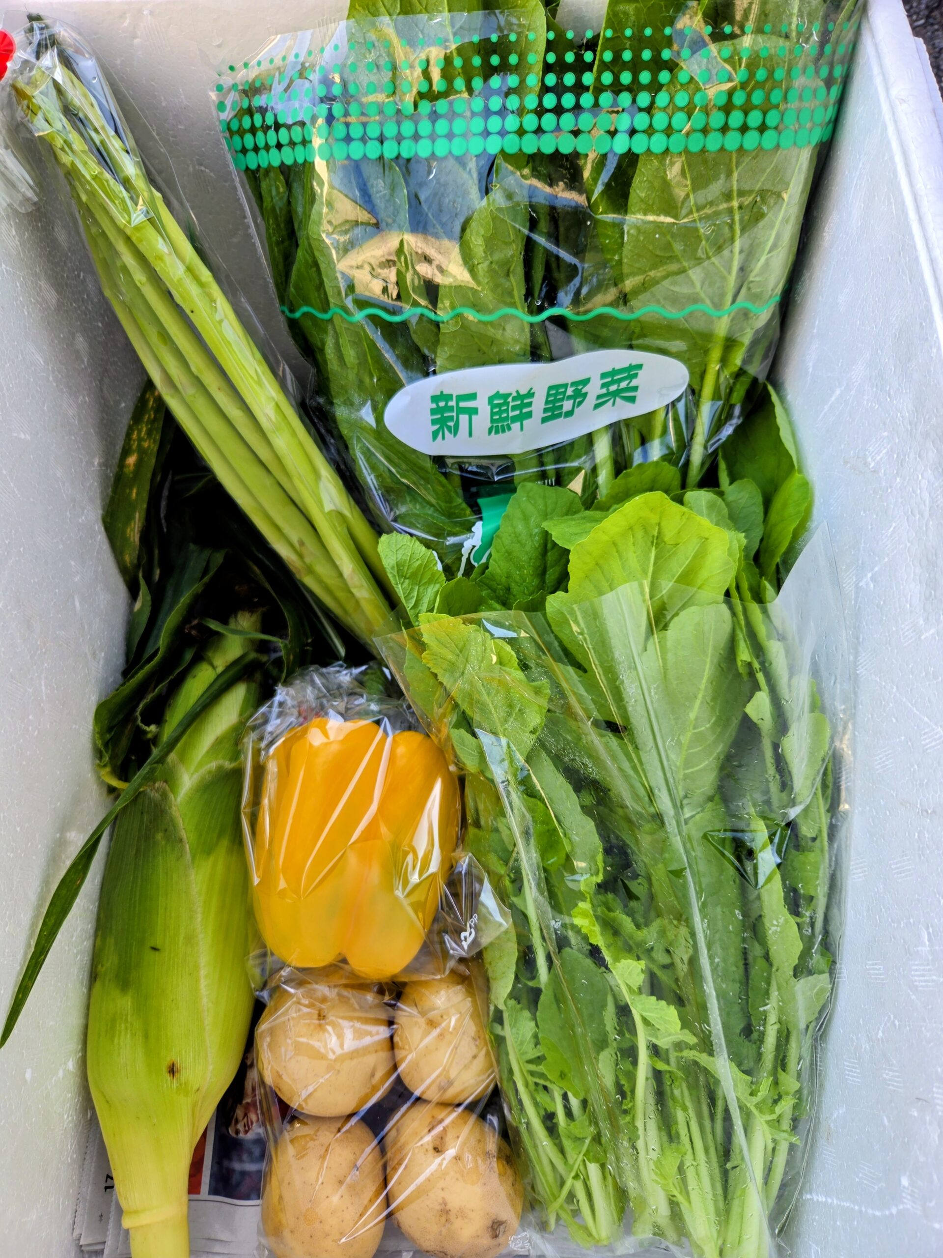 10月1日(木)に宅配予定の野菜のセットはこちらです！