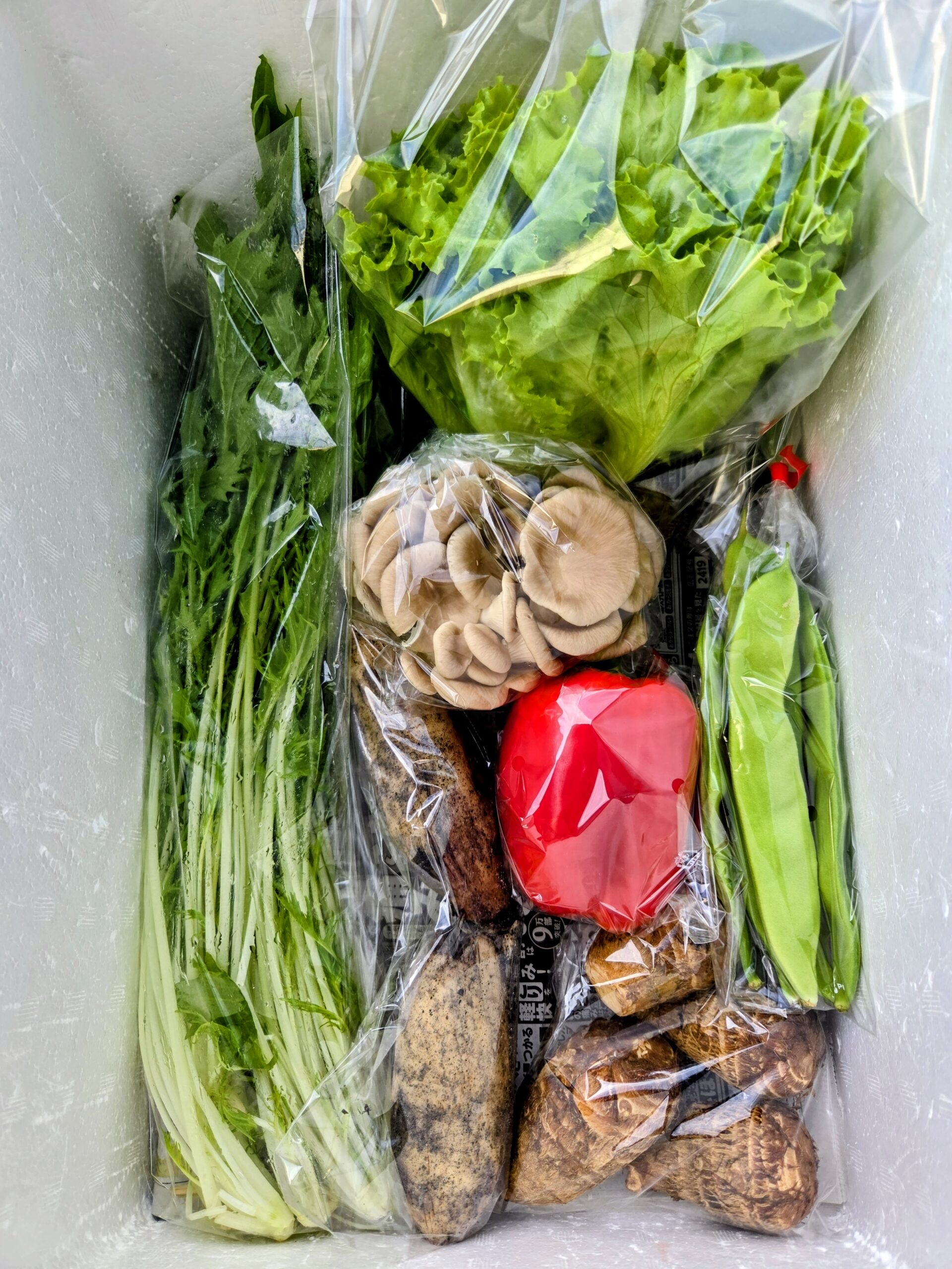 10月22日(木)に宅配予定の野菜のセットはこちらです！